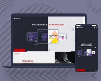 网络公司源码网络建站优化互联网公司网站模板营销型自适应源码响应式网络建站设计