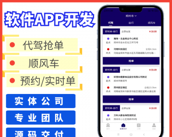 打车app定制开发代驾货运同城顺风车拼车专车货物运输发货接单拉货app网约车小程序开发