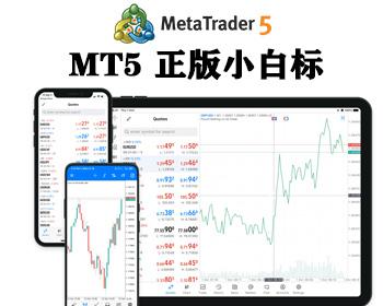 包mt5搭建MT4软件系统MT5软件CRM系统搭建插件EA外汇白标主标crm系统平台源码