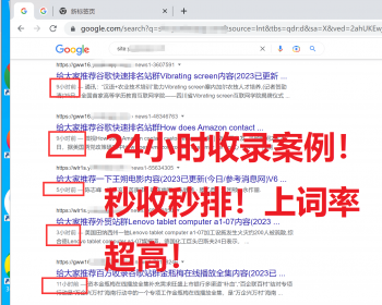 【仅售1套】2024新版泛目录站群/百度泛目录站群/泛目录站群/