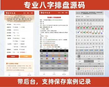 八字排盘工具源码带案例保存功能 八字排盘网站源码八字排盘网页源码